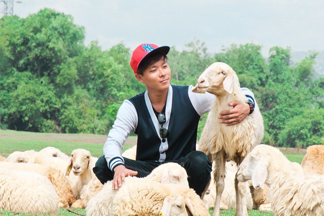 The shepherd with his sheep